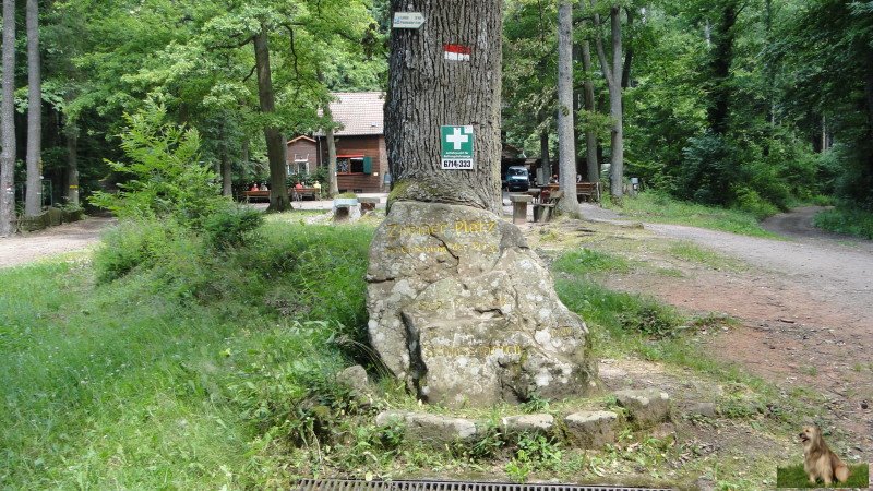 Ritterstein Nr. 058-4b Zimmer-Platz bei Erbauung der Burg Scharfeneck, später Schlossgarten.JPG - Ritterstein Nr.58 Zimmer-Platz bei Erbauung der Burg Scharfeneck, später Schlossgarten